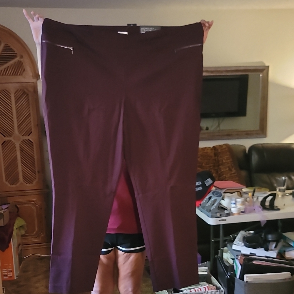 Avenue Maroon Straight Leg Pants